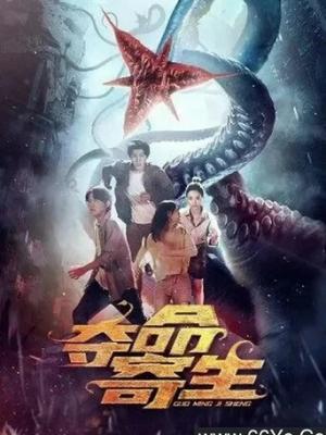 灵魂颂歌